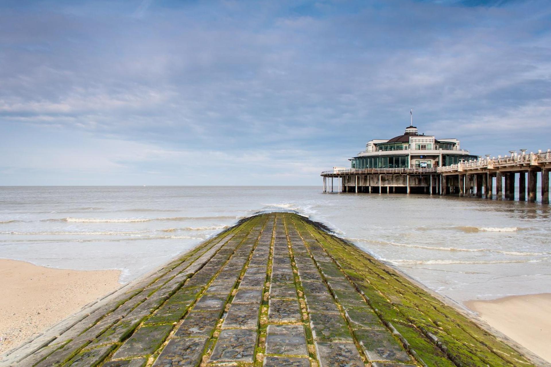 Cosy Apartment 150M From The Beach Blankenberge Exteriör bild